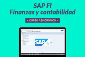 Curso de SAP FI para finanzas y contabilidad
