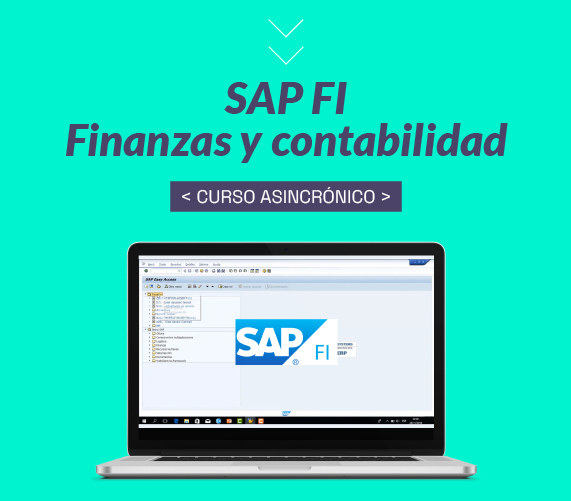 Curso de SAP FI para finanzas y contabilidad